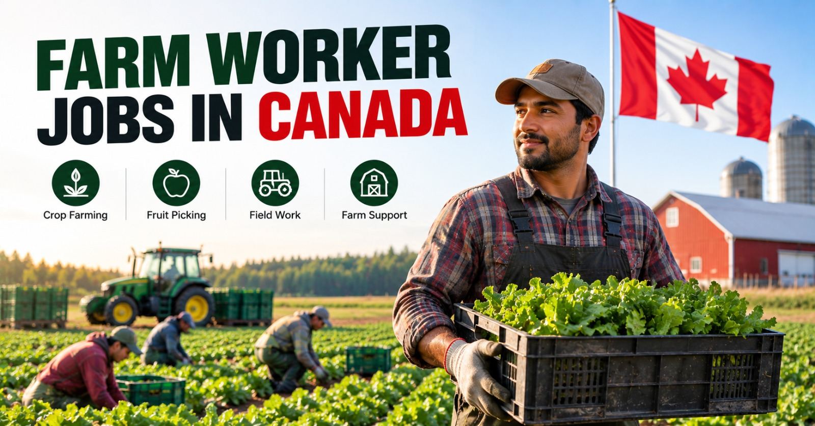 Seasonal farm workers harvesting produce in a Canadian field